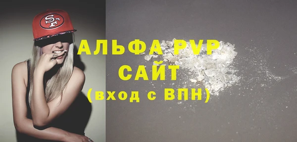 эйфоретик Богданович