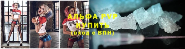 эйфоретик Богданович